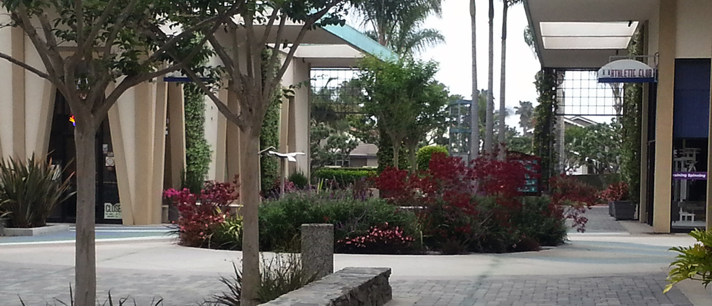 San Pedro CA Commercial Landscaping