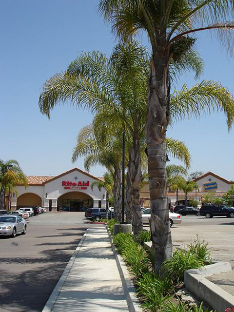 South Bay CA Commercial Landscaping