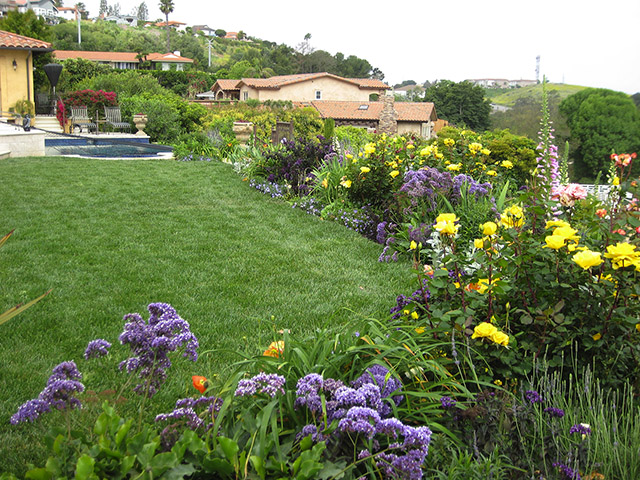 South Bay - San Pedro CA Landscape Design and Consultation