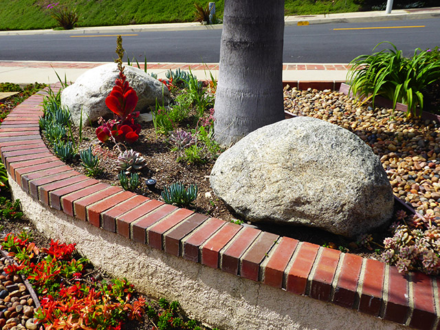specialists in drought resistant landscape design and installation