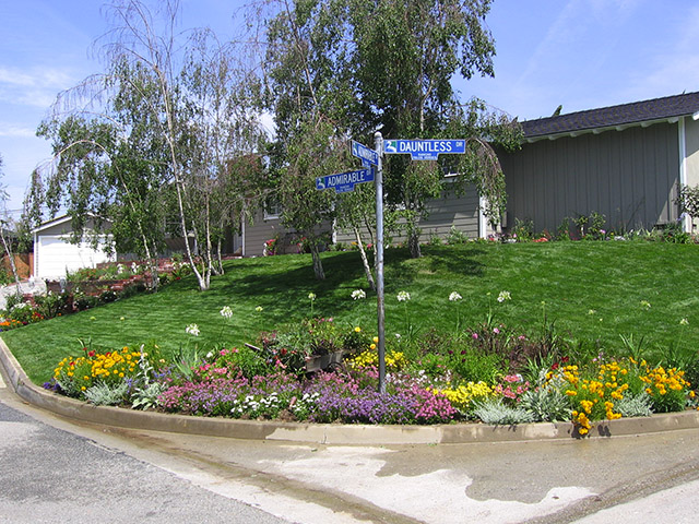 San Pedro CA Residential Landscaping